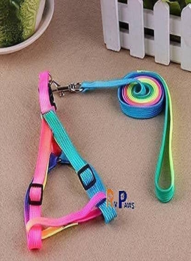 Pups&Pets طقم مقود وحزام قابل للتعديل من النايلون 15 مم للجراء من Pups&Pets + طوق بألوان قوس قزح مع جرس للجراء والكلاب الصغيرة - Image 4